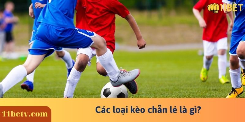 Các loại kèo chẵn lẻ là gì?