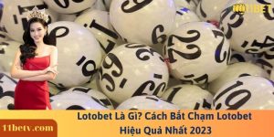 Lotobet Là Gì? Cách Bắt Chạm Lotobet Hiệu Quả Nhất 2023