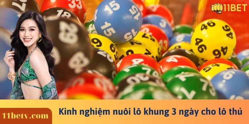 Kinh nghiệm nuôi lô khung 3 ngày cho lô thủ