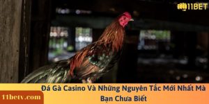 Đá Gà Casino Và Những Nguyên Tắc Mới Nhất Mà Bạn Chưa Biết