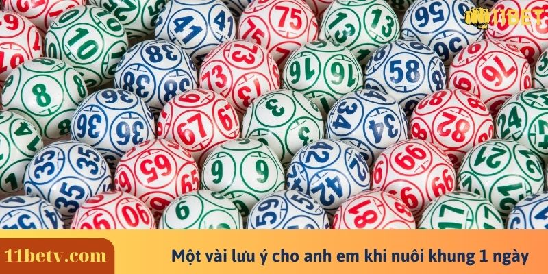 Một vài lưu ý cho anh em khi nuôi khung 1 ngày