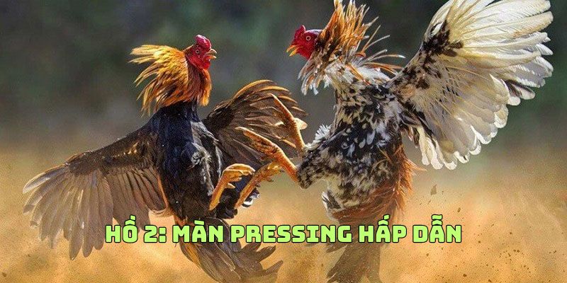 Hồ 2: Màn Pressing đỉnh cao