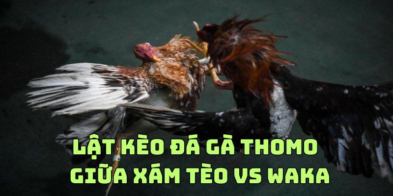 Màn lật kèo đá gà nổi danh giữa Xám Tèo vs Waka