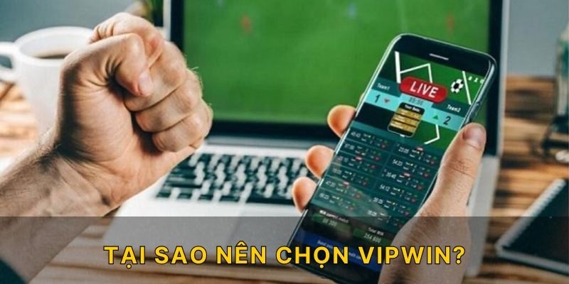 Tại sao nên chọn VIPWIN?